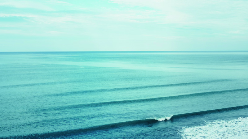 宏 放眼全球，博納廣收。